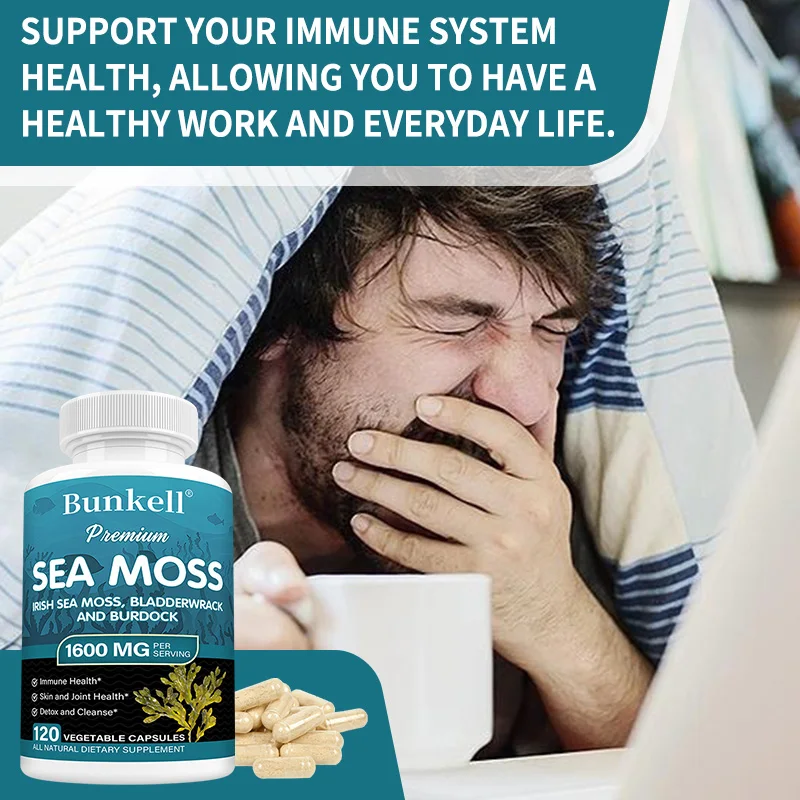 Organic Sea Moss 1600mg - Irish Moss, Bladderwrack & Burdock Root - Image 3