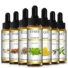 EUQEE 10ml Essential Oils - Oregano, Vetiver, Myrrh, Rose & More