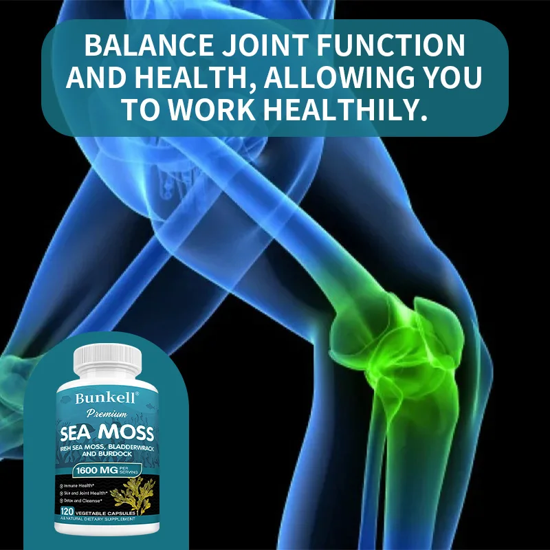 Organic Sea Moss 1600mg - Irish Moss, Bladderwrack & Burdock Root - Image 5