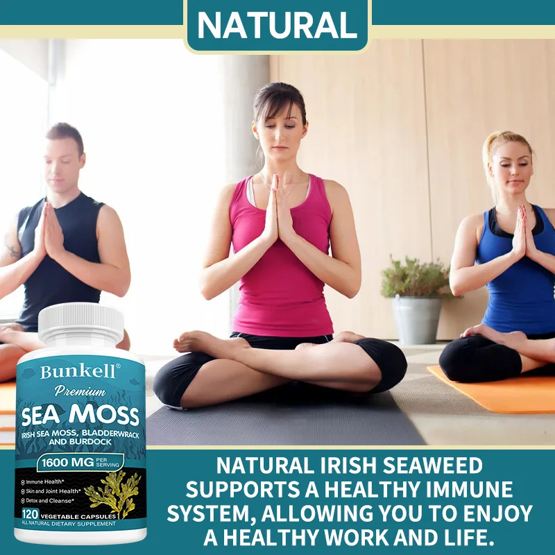 Organic Sea Moss 1600mg - Irish Moss, Bladderwrack & Burdock Root - Image 4